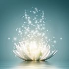 Meditaties - Verhalen - Stervensbegeleiding